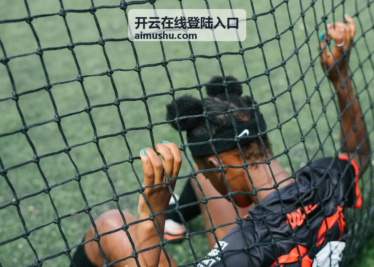 开云在线登陆入口操作界面示意